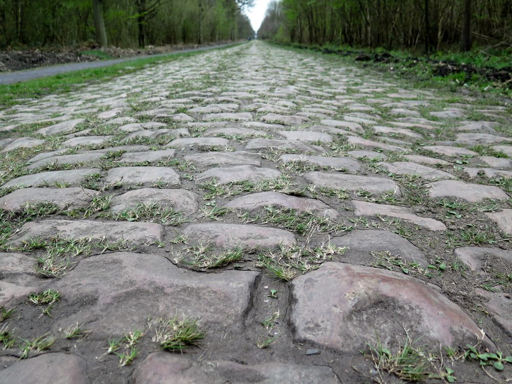 Paris-Roubaix '17
