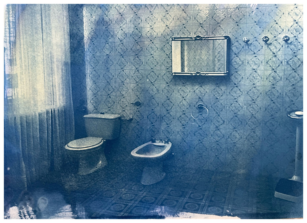 Cyanotypes of Ceausescu's palace