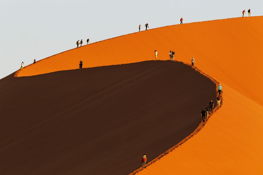 Dune walkers