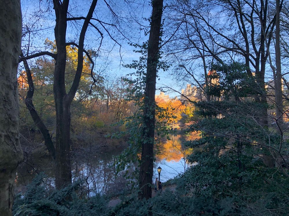 Central Park New York