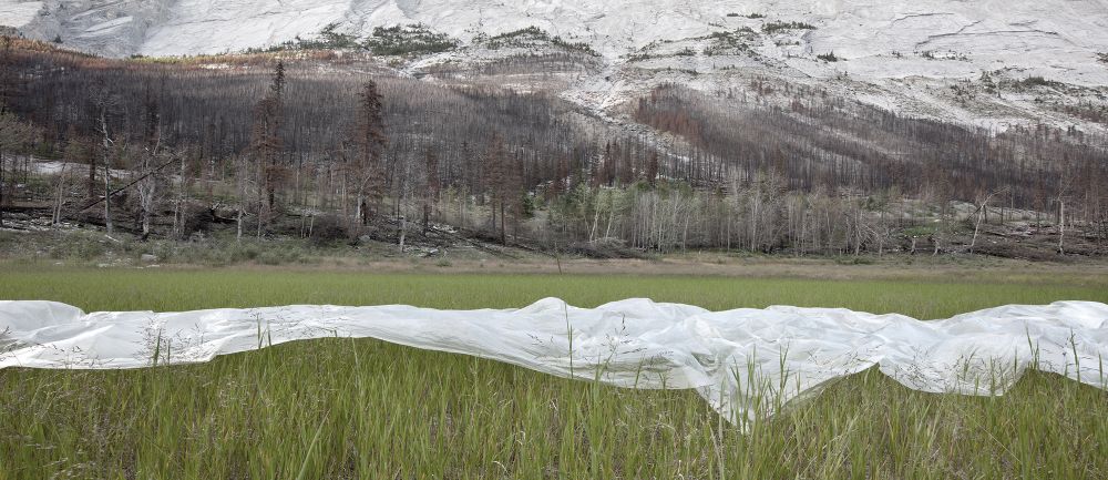 Plastic Landscapes Canada 2016