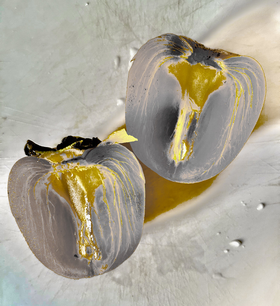 being concerned about sustainability: using art photography to suggest different ways of seeing