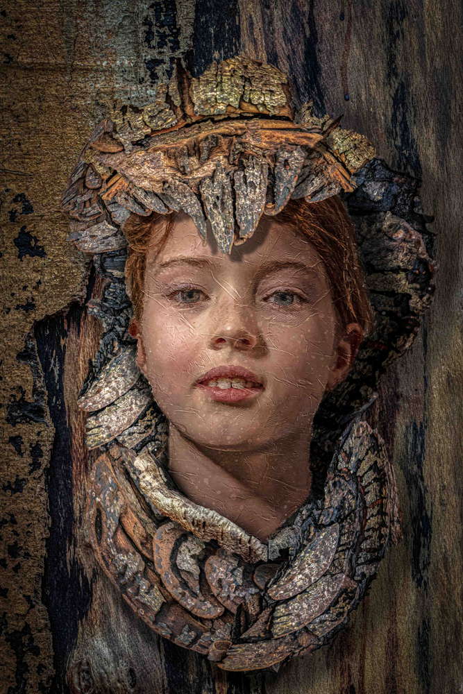 Tree knot portraits