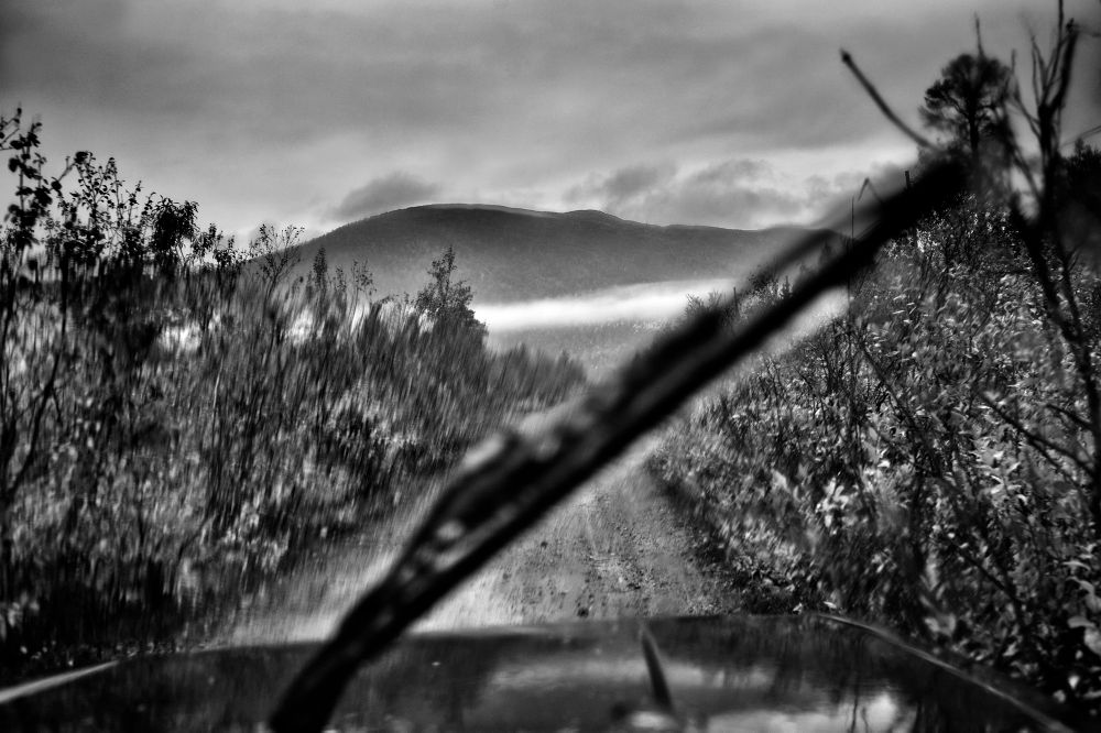 Solitary Road