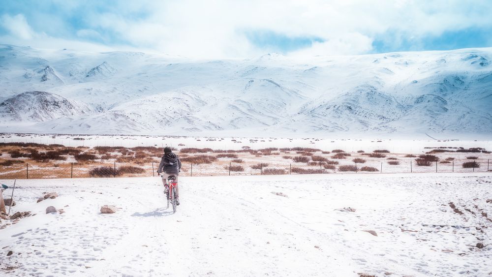 Through My ViewFinder