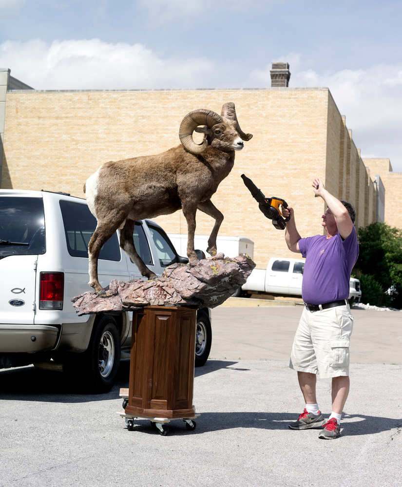 The World Taxidermy Championship