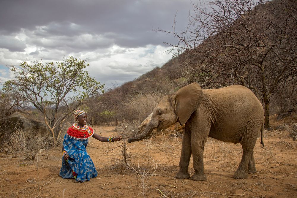 Samburu