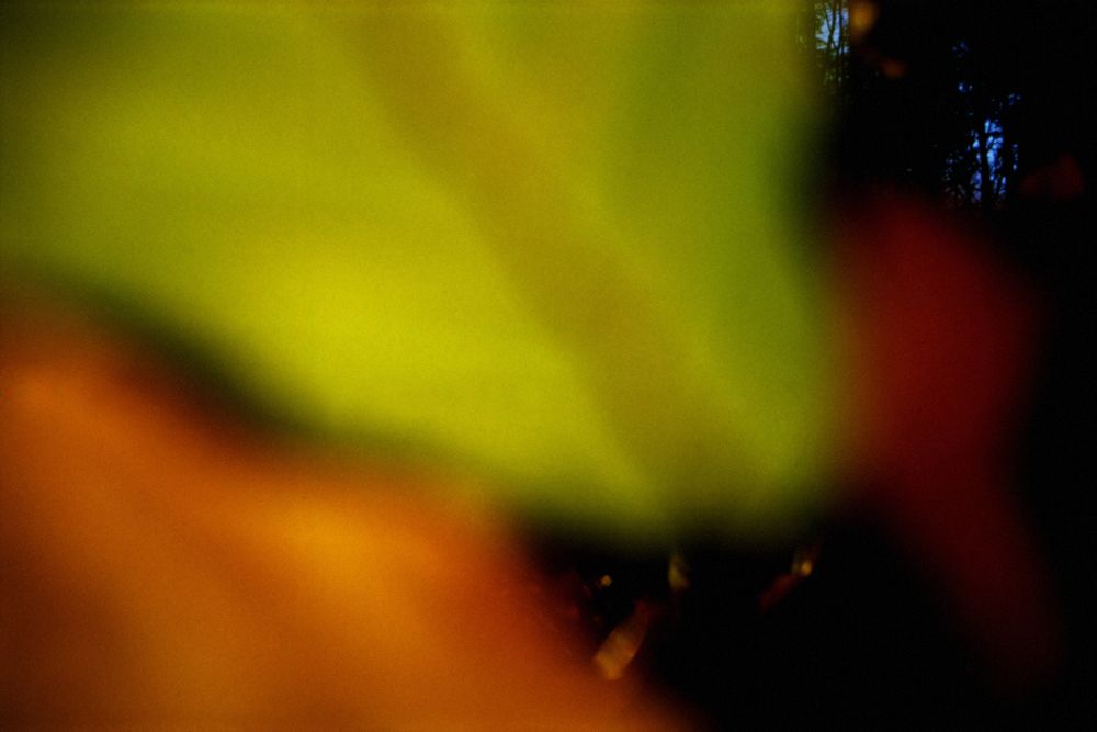 Compositions