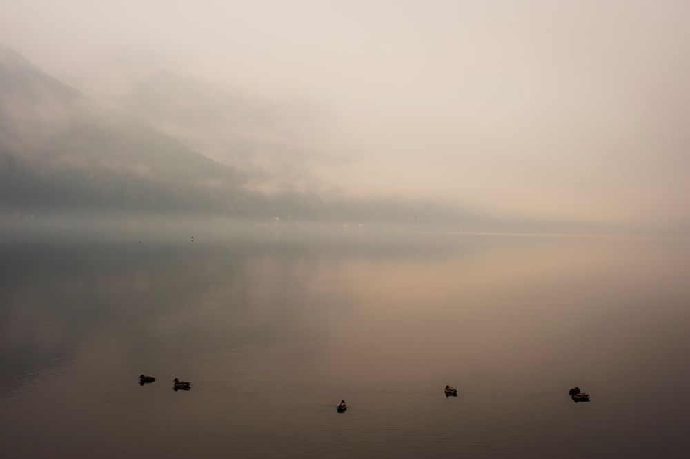 Mist You