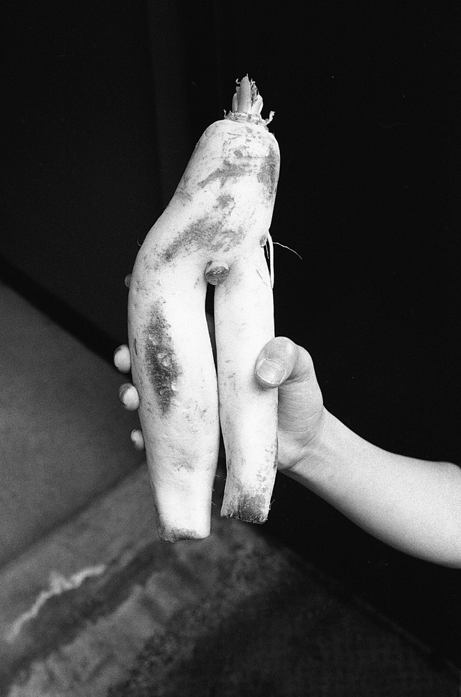 Objects of Desire... Meditation on Mortality