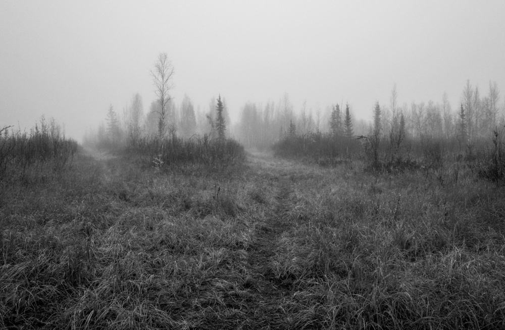 Foggy Morning at Creamer's Field: 09/29/2013