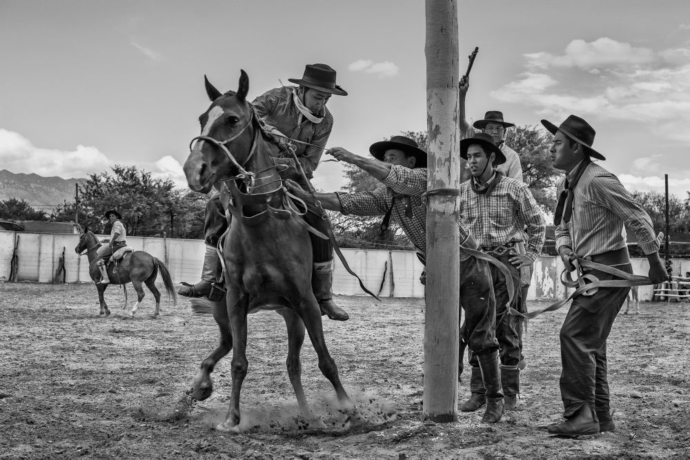 JINETES SALTEÑOS