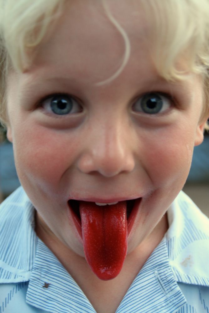 Louise Zolezzi "How Do You Spell Love?" Piglet "You Don't Spell It