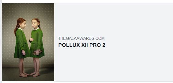 Winner of the 12th edition of the Pollux Awards