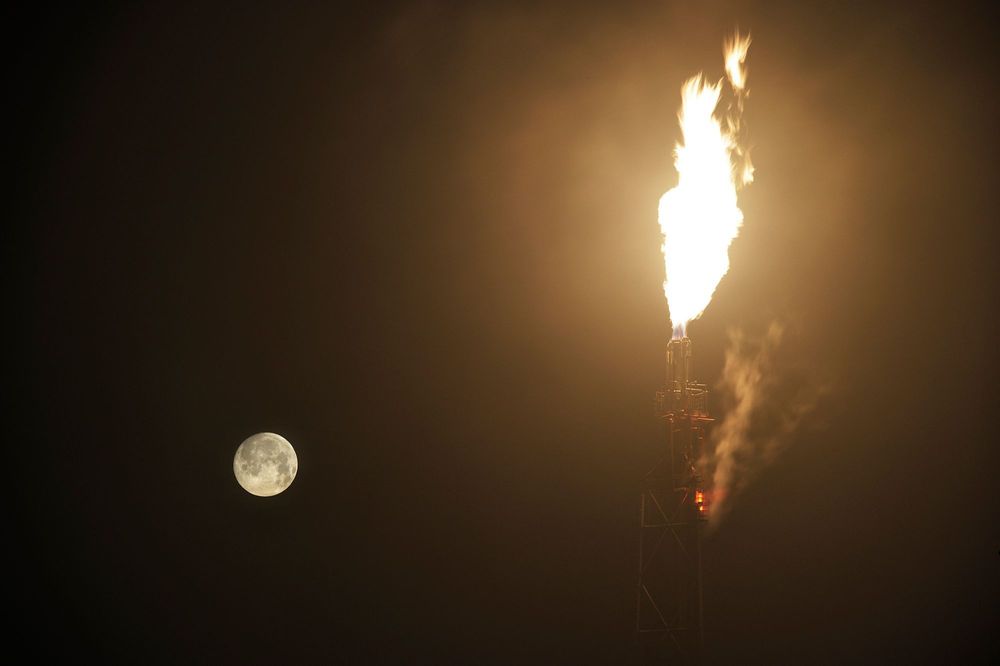 月下清影(Scenery with the moon)
