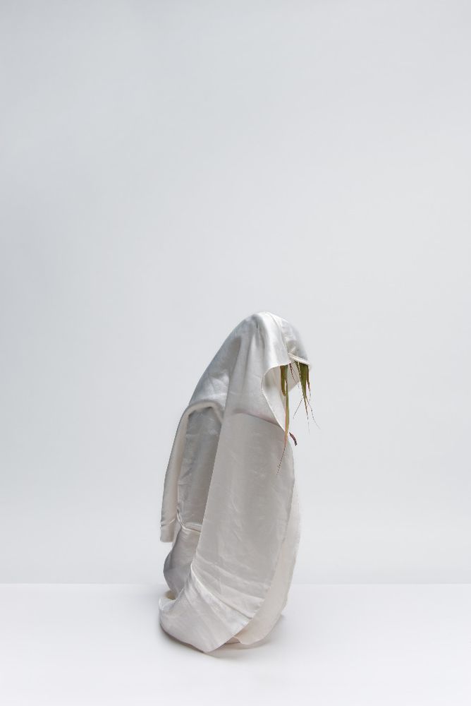 Veiled