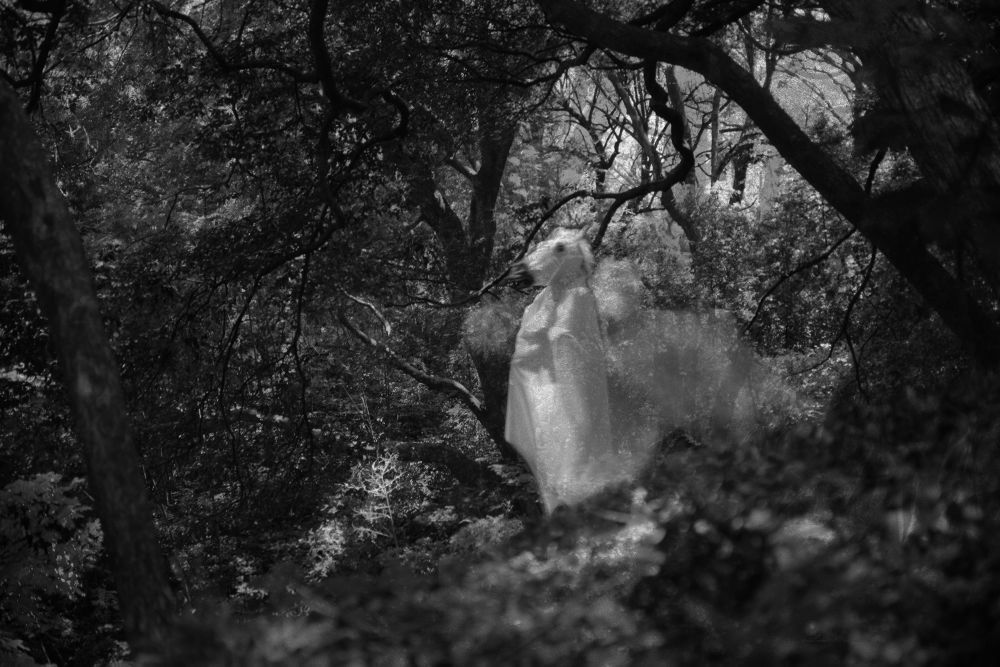 ￼A MIDSUMMER NIGHT'S DREAM