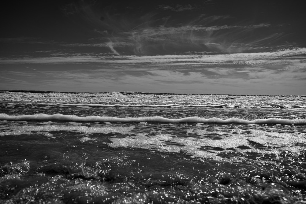 Combers and Seashells