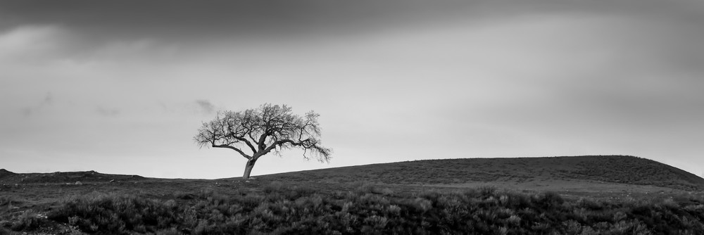 Moody, Minimal, Mysterious