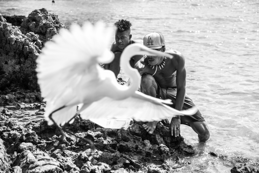 Offering