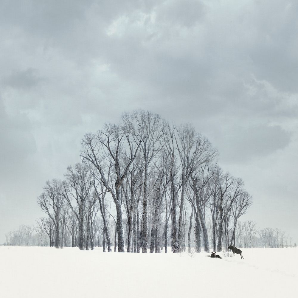 Space and Snow