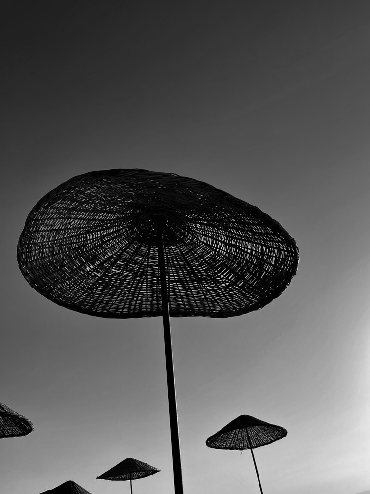 Weird Mushrooms