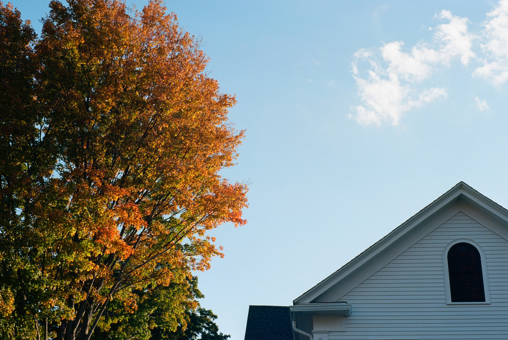 Ross Landsman Nature LensCulture