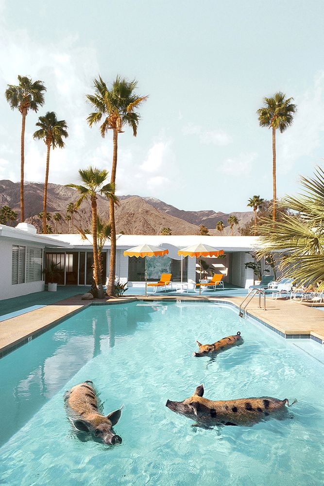 Palm Springs