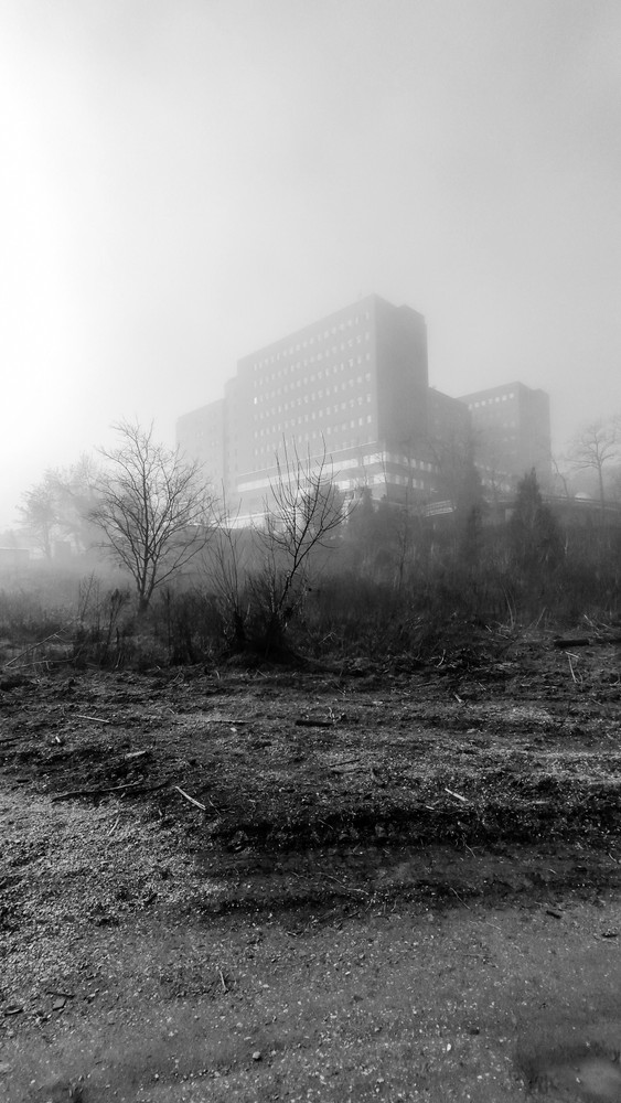 Fog