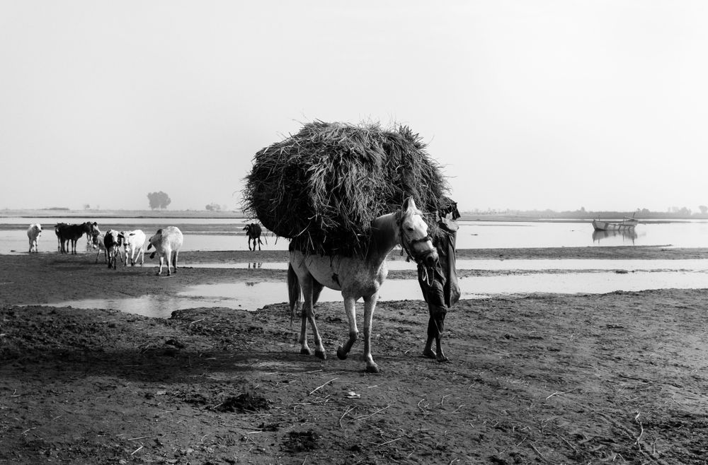 In the Village