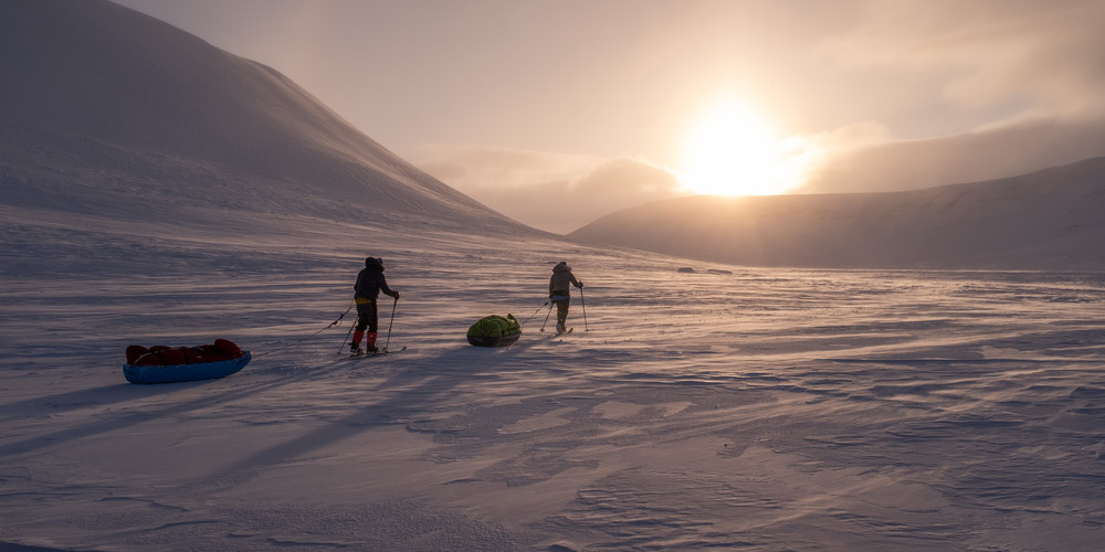 Arctic life 