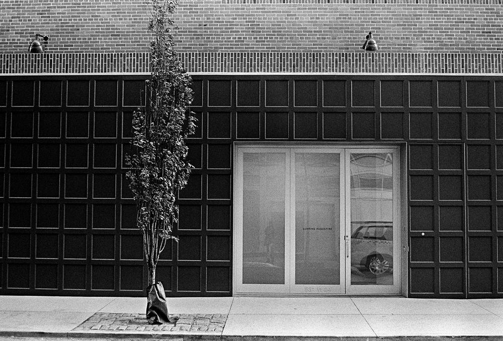 art world (NY)