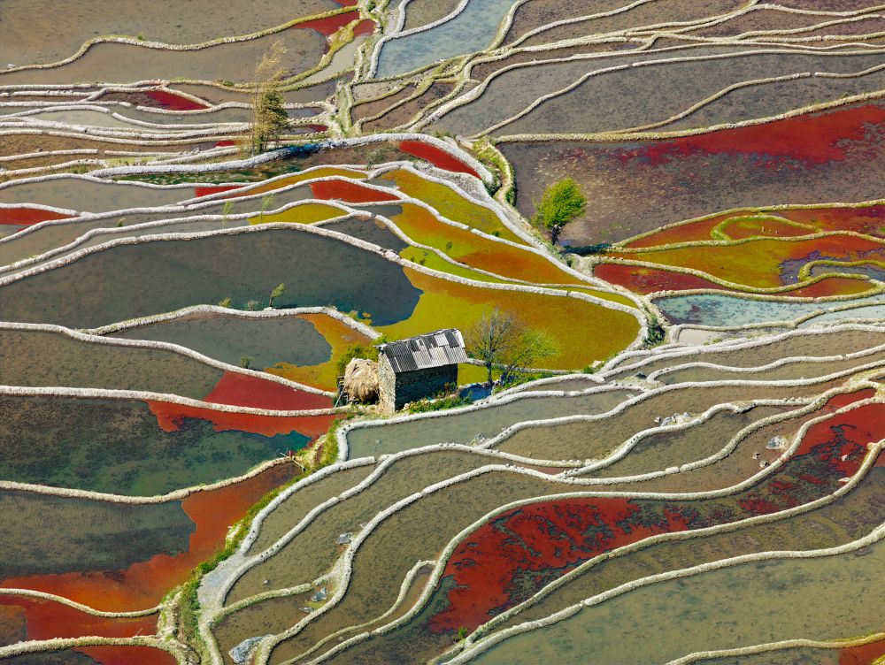 Red Terraces