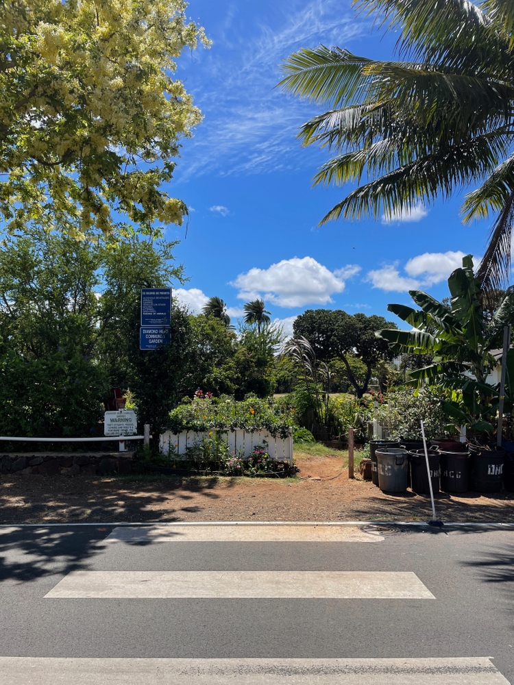 Diamond Head Community Garden