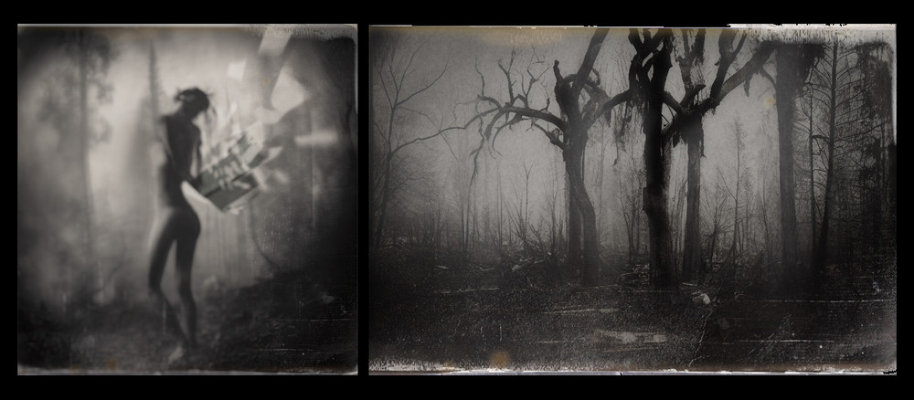 Selections from Unleashed (a series in process)