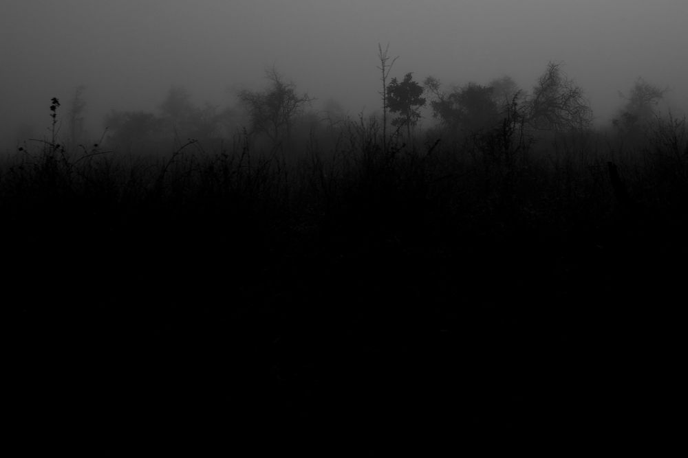 Hidden