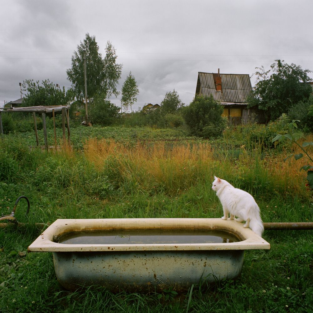 Russian Garden