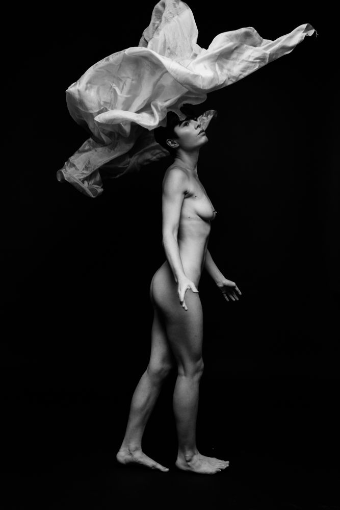 Silk Series