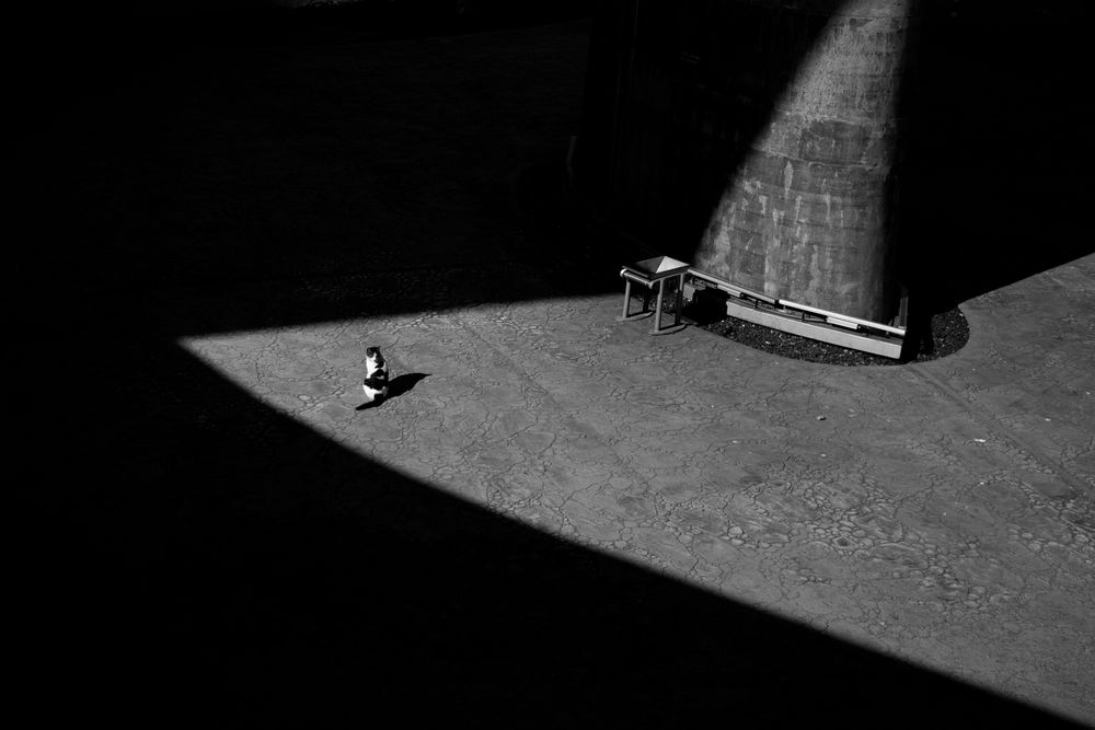 Minimal Photo Series
