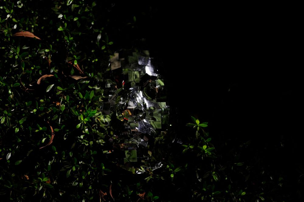 "A Face in the Mirror" 