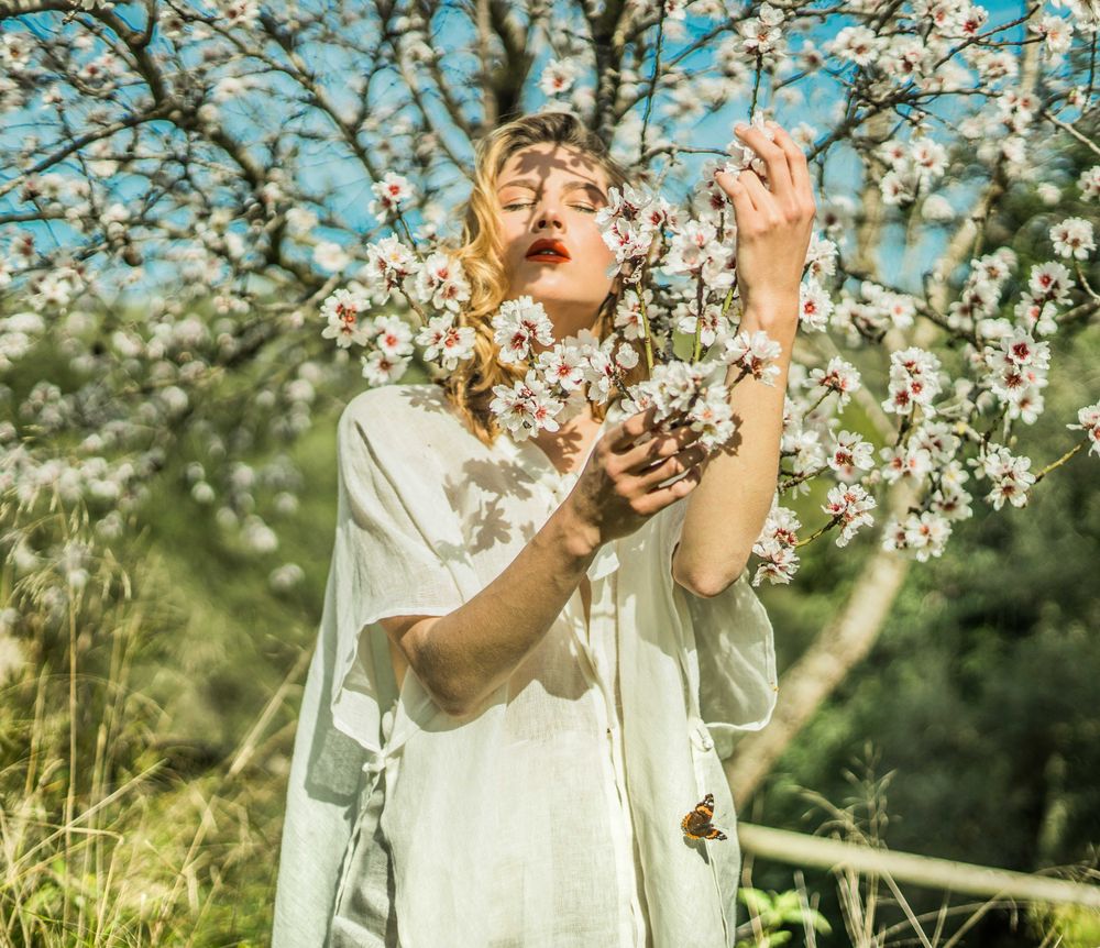 Photosynthesis
