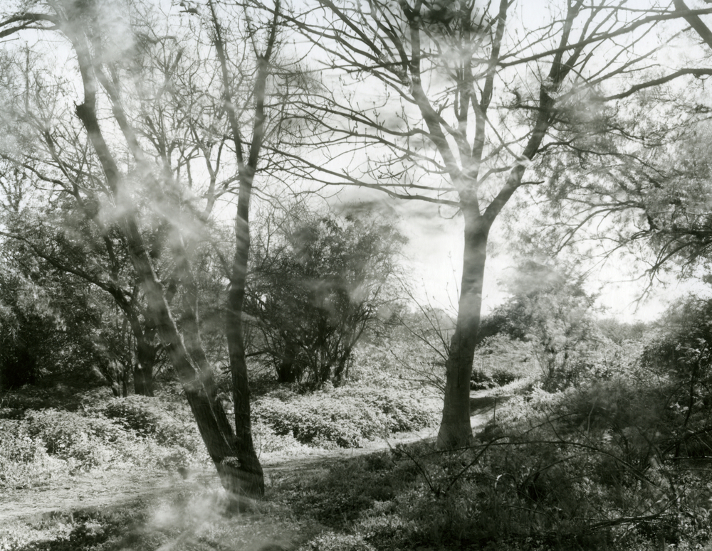 Elthorne Rough