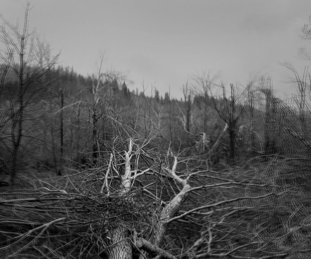 Heavy Rain