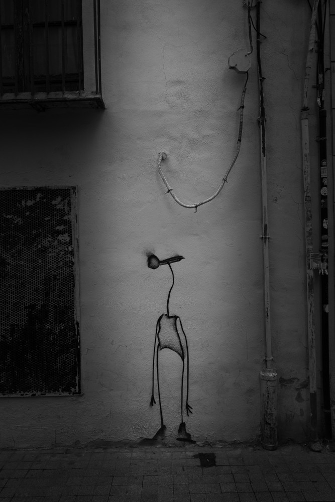 Ecos del Entorno (Echoes of the Environment)Untitled