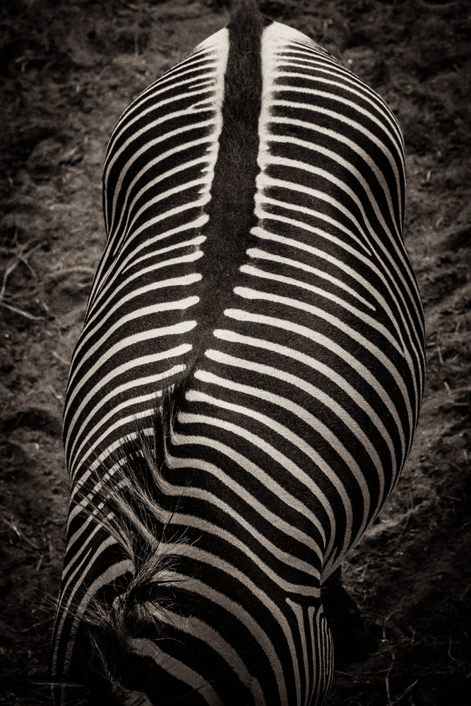 Exposure Awards 2015: Three images