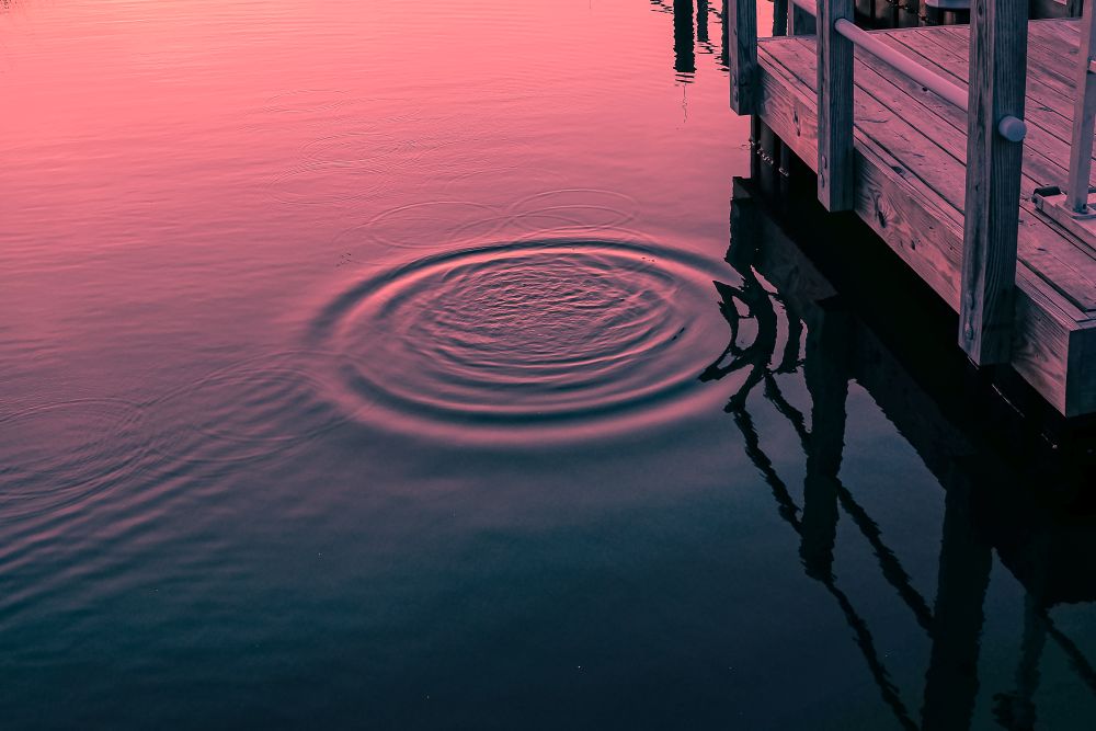 coastal confessions