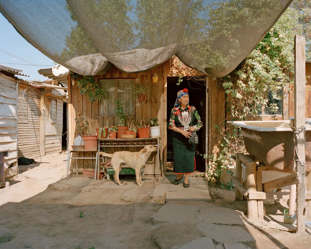 WALLMAPU - Tierra Mapuche