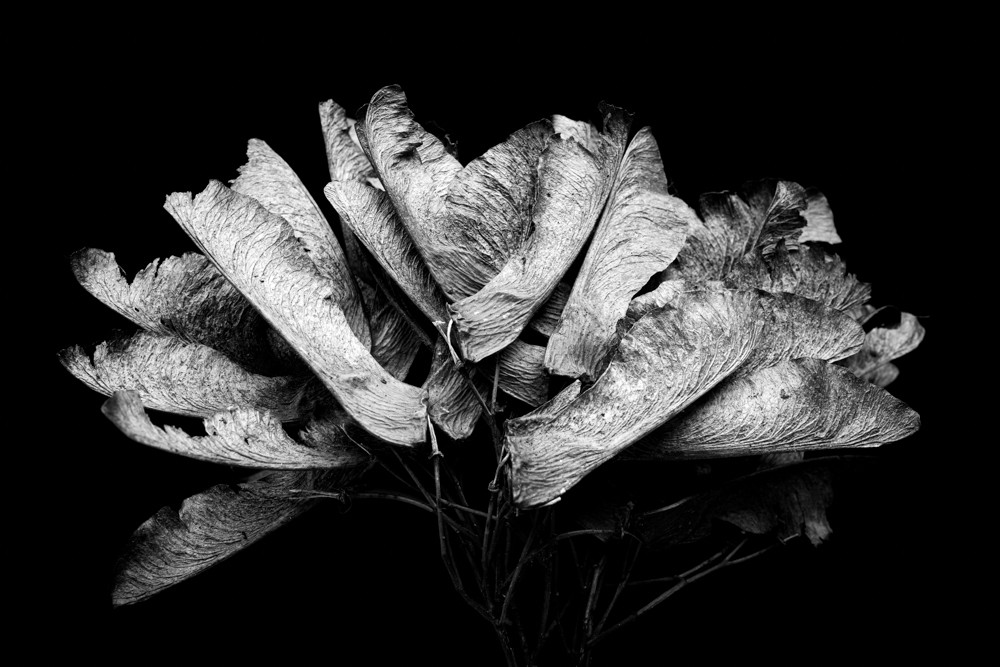Reflecting on Decay