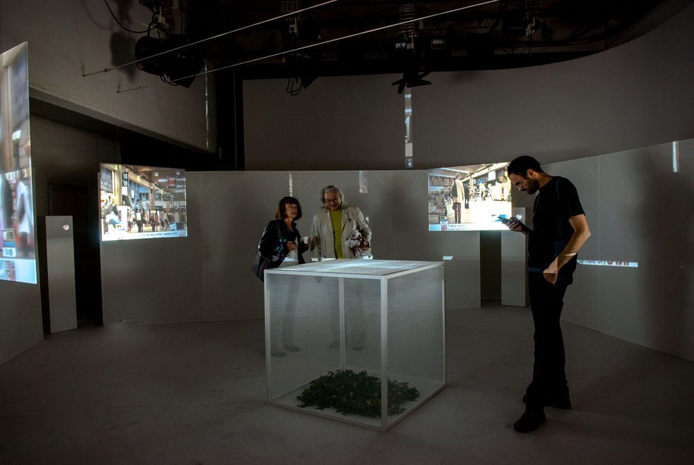 ART INSTALLATION  " Temps parallèles"