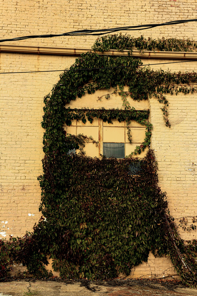 The Texture of Time